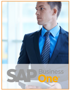 Formación en SAP Business One
