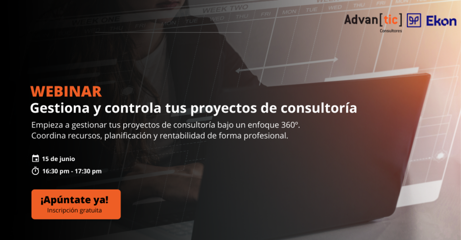 webinar gestión de proyectos - consultoras